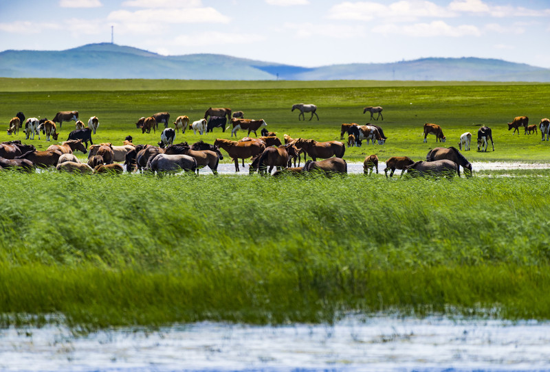 内蒙古行吟之旅